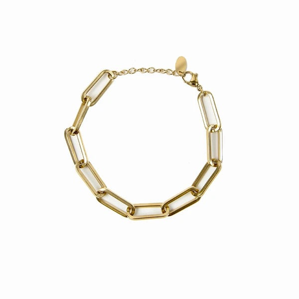PULSEIRA DE CORRENTE CLIP